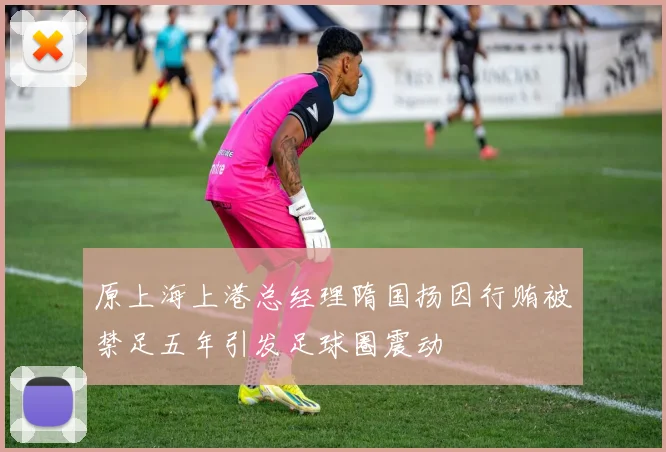 原上海上港总经理隋国扬因行贿被禁足五年引发足球圈震动