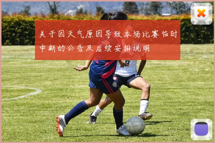 关于因天气原因导致本场比赛临时中断的公告及后续安排说明